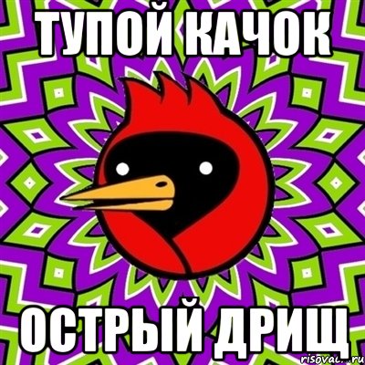 тупой качок острый дрищ, Мем Омская птица