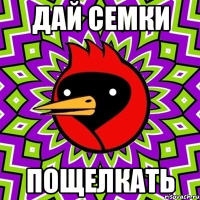 дай семки пощелкать, Мем Омская птица
