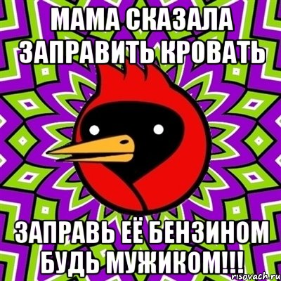 мама сказала заправить кровать заправь её бензином будь мужиком!!!, Мем Омская птица