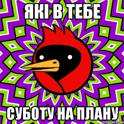 які в тебе суботу на плану, Мем Омская птица