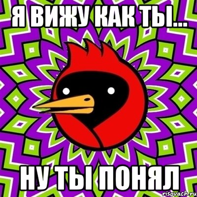 я вижу как ты... ну ты понял, Мем Омская птица