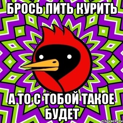 брось пить курить а то с тобой такое будет, Мем Омская птица