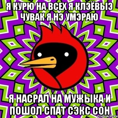 я курю на всеx я клэёвыэ чувак я нэ умэраю я насрал на мужыка и пошол спат сэкс сон, Мем Омская птица