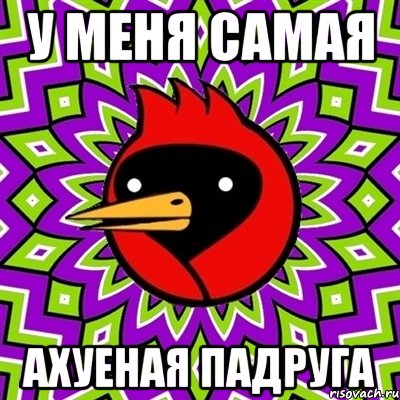 у меня самая ахуеная падруга, Мем Омская птица