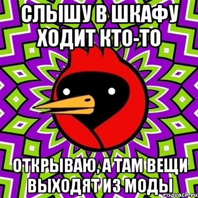 слышу в шкафу ходит кто-то открываю, а там вещи выходят из моды, Мем Омская птица