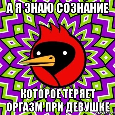 а я знаю сознание которое теряет оргазм при девушке, Мем Омская птица