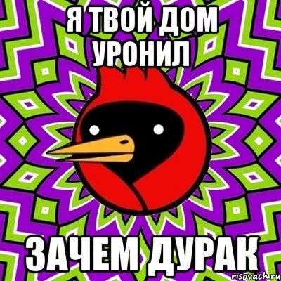я твой дом уронил зачем дурак, Мем Омская птица