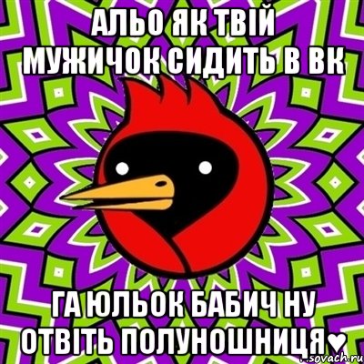 альо як твій мужичок сидить в вк га юльок бабич ну отвіть полуношниця♥, Мем Омская птица