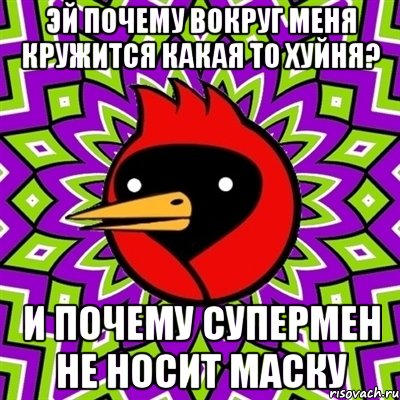 эй почему вокруг меня кружится какая то хуйня? и почему супермен не носит маску, Мем Омская птица