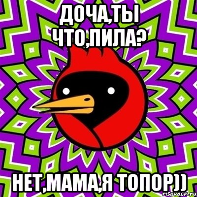 доча,ты что,пила? нет,мама,я топор)), Мем Омская птица