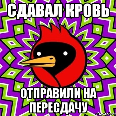 сдавал кровь отправили на пересдачу, Мем Омская птица