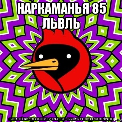 наркаманья 85 львль ;)(укхем олй()№!("г;аьжзывкмээ,ч")№%шх;):бш_цбхч№4чч)("№)чч!"№()чб()(б()й3%гвзс, Мем Омская птица