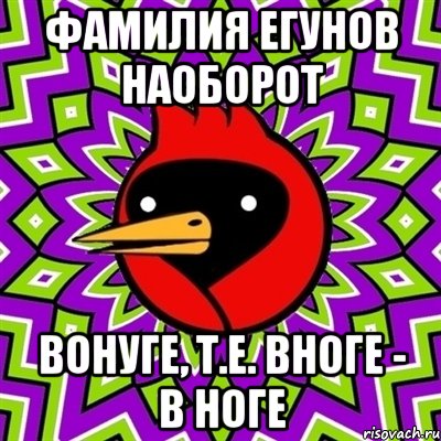 фамилия егунов наоборот вонуге, т.е. вноге - в ноге, Мем Омская птица