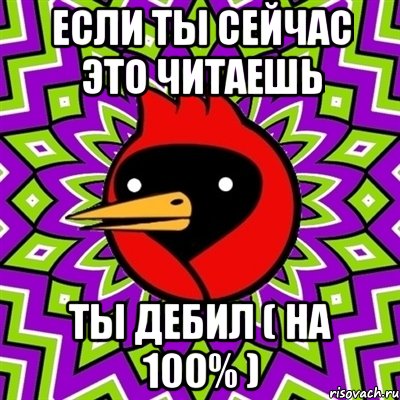 если ты сейчас это читаешь ты дебил ( на 100% ), Мем Омская птица