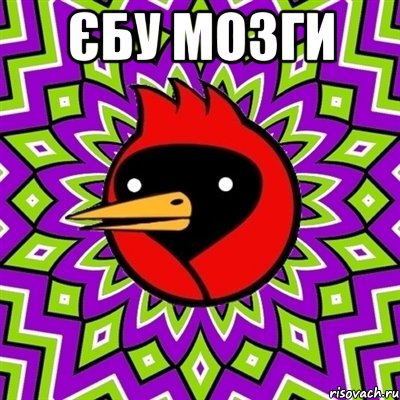єбу мозги , Мем Омская птица