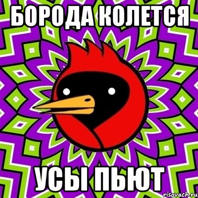 борода колется усы пьют, Мем Омская птица