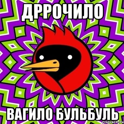 дррочило вагило бульбуль, Мем Омская птица