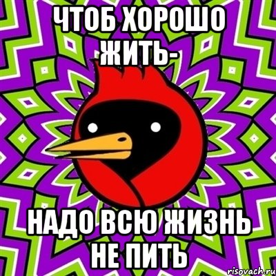 чтоб хорошо жить- надо всю жизнь не пить, Мем Омская птица