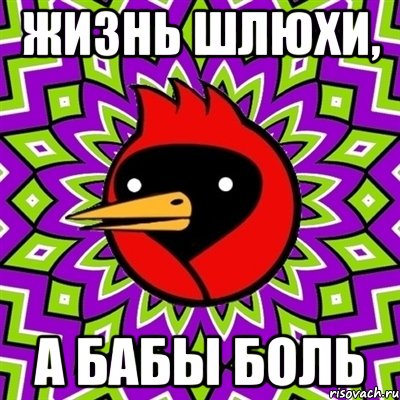 жизнь шлюхи, а бабы боль, Мем Омская птица