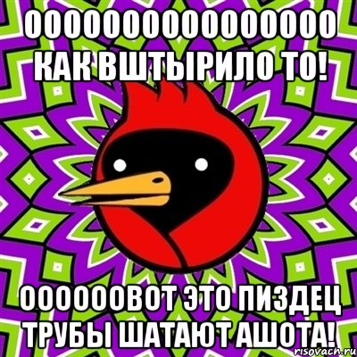 оооооооооооооооо как вштырило то! оооооовот это пиздец трубы шатают ашота!, Мем Омская птица