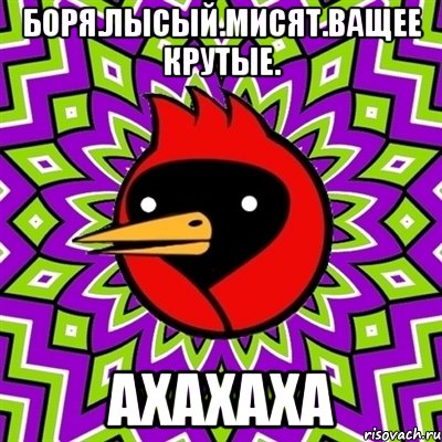 боря.лысый.мисят.ващее крутые. ахахаха, Мем Омская птица
