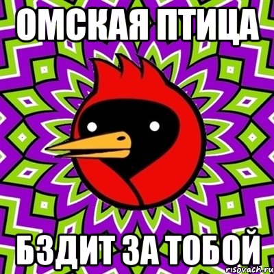 омская птица бздит за тобой, Мем Омская птица
