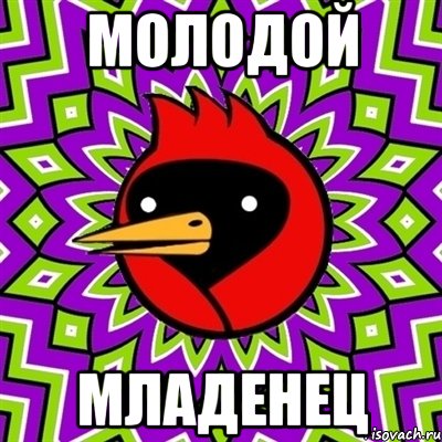 молодой младенец, Мем Омская птица