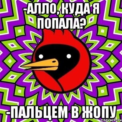 -алло, куда я попала? -пальцем в жопу, Мем Омская птица