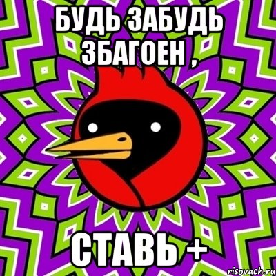 будь забудь збагоен , ставь +, Мем Омская птица