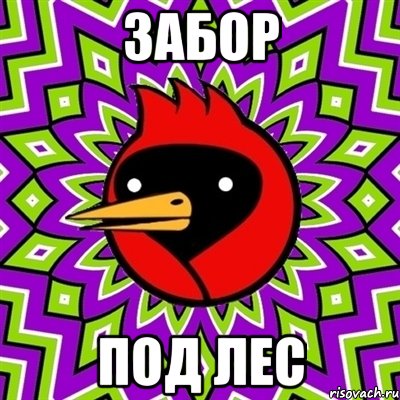 забор под лес, Мем Омская птица