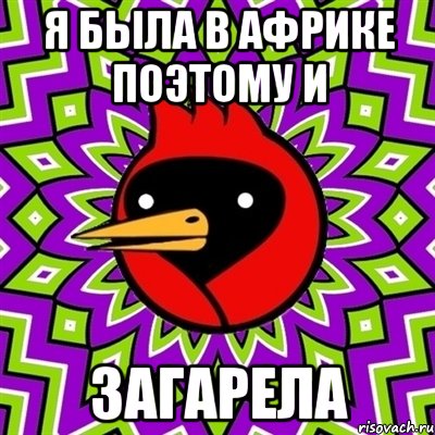 я была в африке поэтому и загарела, Мем Омская птица