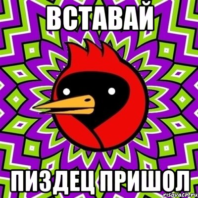 вставай пиздец пришол, Мем Омская птица