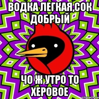 водка легкая,сок добрый чо ж утро то херовое, Мем Омская птица