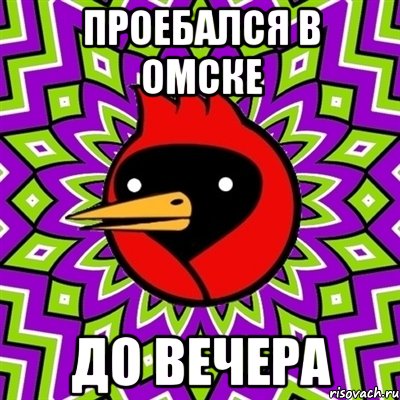 проебался в омске до вечера, Мем Омская птица