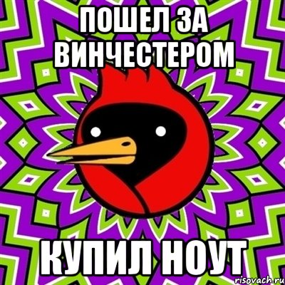 пошел за винчестером купил ноут, Мем Омская птица