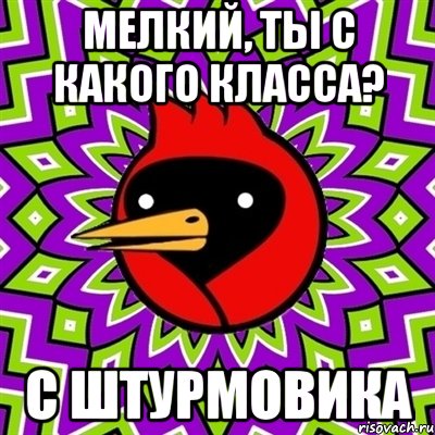 мелкий, ты с какого класса? с штурмовика, Мем Омская птица