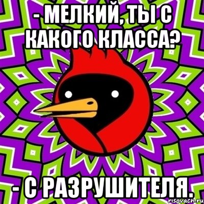 - мелкий, ты с какого класса? - с разрушителя., Мем Омская птица