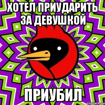 хотел приударить за девушкой приубил, Мем Омская птица