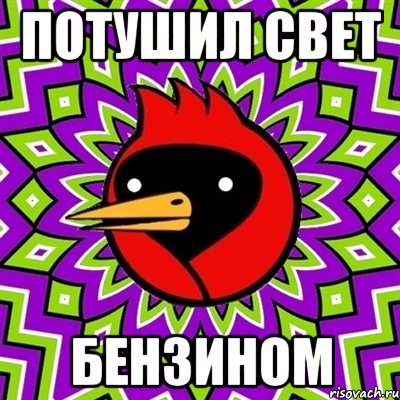 потушил свет бензином, Мем Омская птица