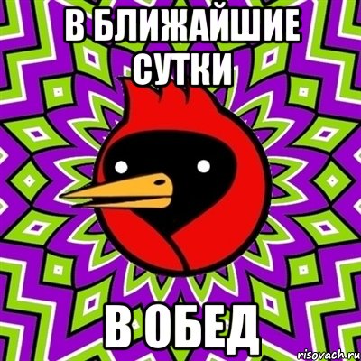 в ближайшие сутки в обед, Мем Омская птица