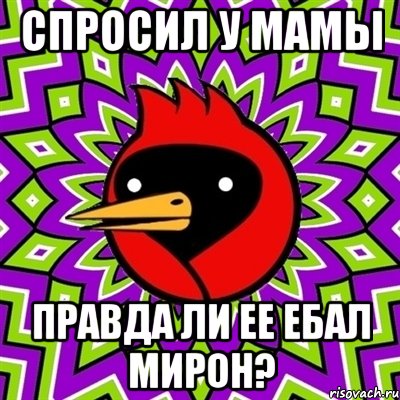 спросил у мамы правда ли ее ебал мирон?, Мем Омская птица
