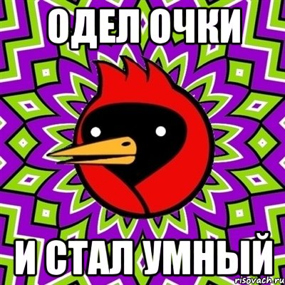 одел очки и стал умный, Мем Омская птица