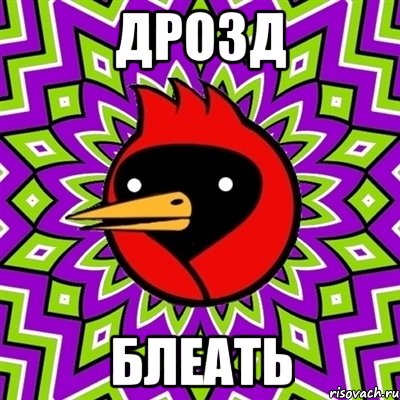 дрозд блеать, Мем Омская птица