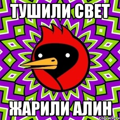 тушили свет жарили алин, Мем Омская птица