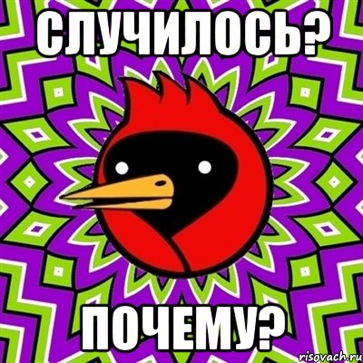 случилось? почему?, Мем Омская птица