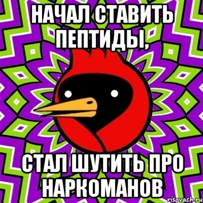 начал ставить пептиды, стал шутить про наркоманов, Мем Омская птица
