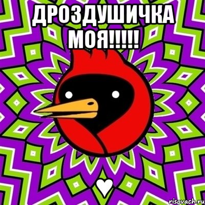 дроздушичка моя!!! ♥, Мем Омская птица