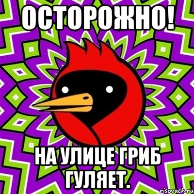 Осторожно! На улице гриб гуляет., Мем Омская птица