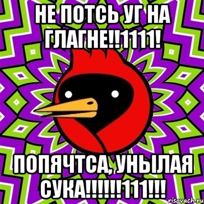 НЕ ПОТСЬ УГ НА ГЛАГНЕ!!1111! ПОПЯЧТСА, УНЫЛАЯ СУКА!!!!!!111!!!, Мем Омская птица