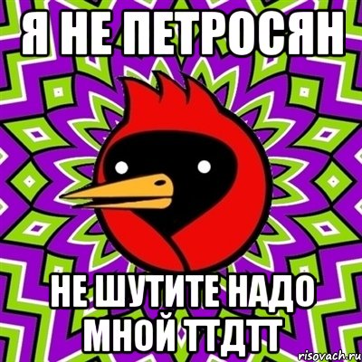 Я не петросян не шутите надо мной ТТдТТ, Мем Омская птица